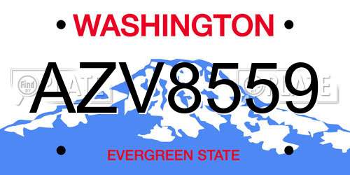 AZV8559 Washington License Plate