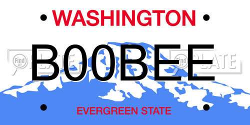 B00BEE Washington License Plate