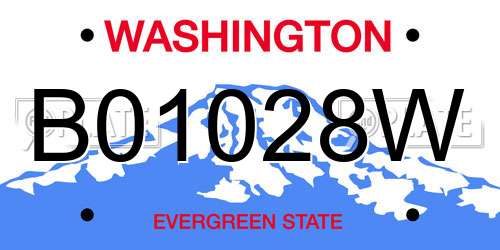 B01028W Washington License Plate