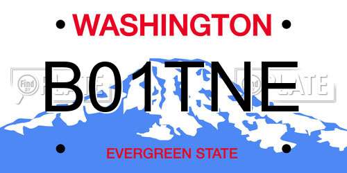 B01TNE Washington License Plate