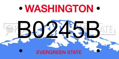 B0245B Washington License Plate