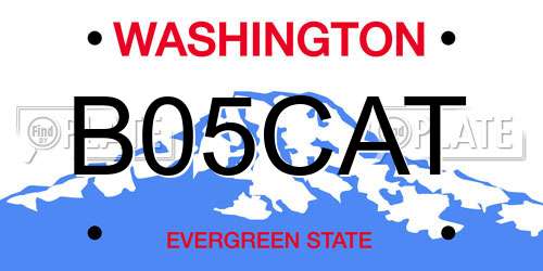 B05CAT Washington License Plate