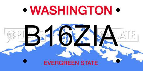 B16ZIA Washington License Plate
