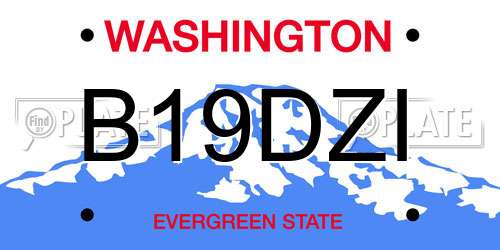 B19DZI Washington License Plate