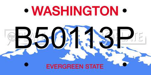 B50113P Washington License Plate