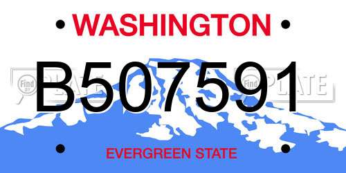 B507591 Washington License Plate