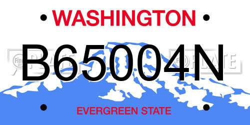 B65004N Washington License Plate