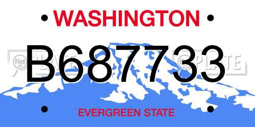 B687733 Washington License Plate