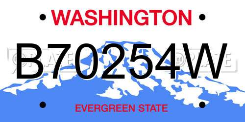 B70254W Washington License Plate