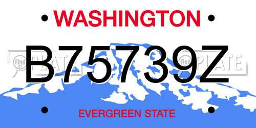 B75739Z Washington License Plate