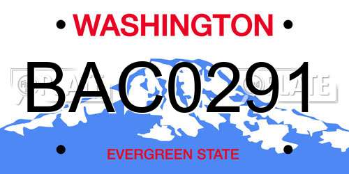 BAC0291 Washington License Plate