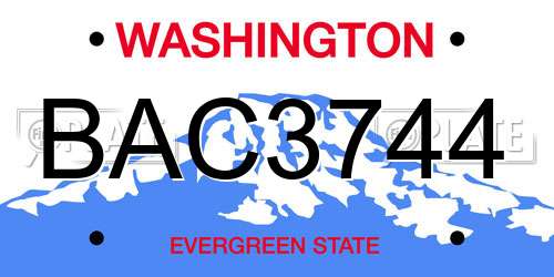 BAC3744 Washington License Plate