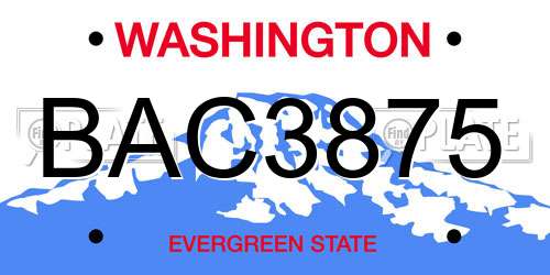 BAC3875 Washington License Plate