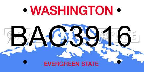 BAC3916 Washington License Plate