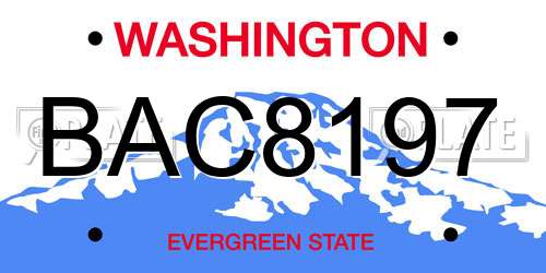 BAC8197 Washington License Plate
