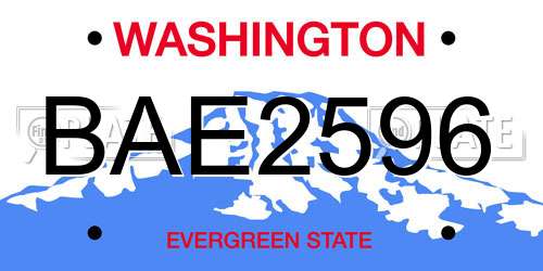 BAE2596 Washington License Plate