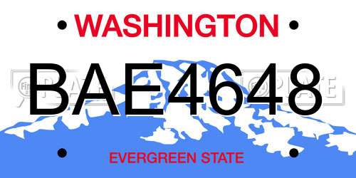 BAE4648 Washington License Plate