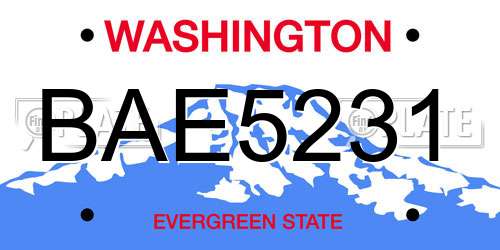 BAE5231 Washington License Plate