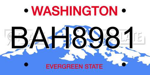 BAH8981 Washington License Plate