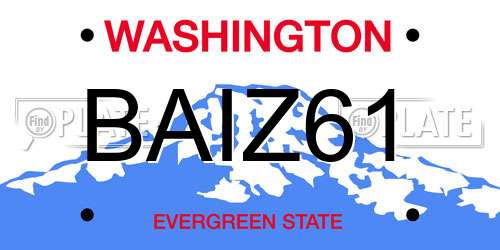 BAIZ61 Washington License Plate