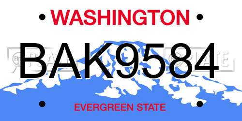 BAK9584 Washington License Plate