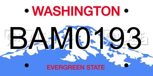 BAM0193 Washington License Plate