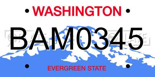 BAM0345 Washington License Plate
