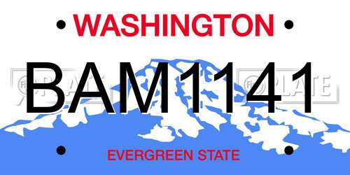 BAM1141 Washington License Plate