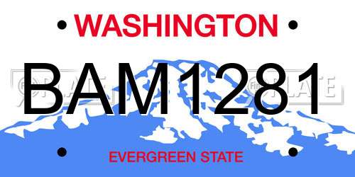 BAM1281 Washington License Plate