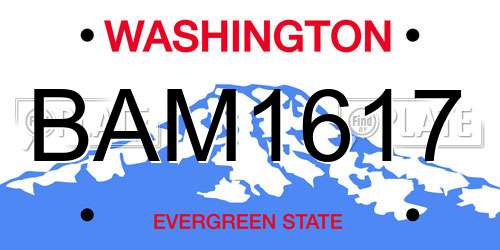 BAM1617 Washington License Plate