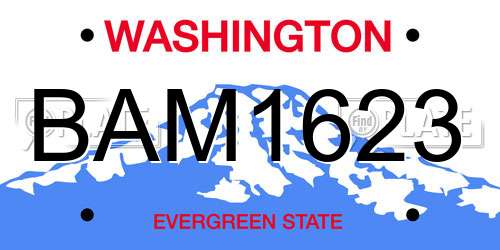 BAM1623 Washington License Plate