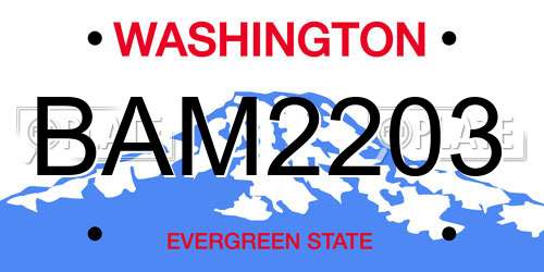 BAM2203 Washington License Plate