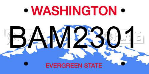 BAM2301 Washington License Plate