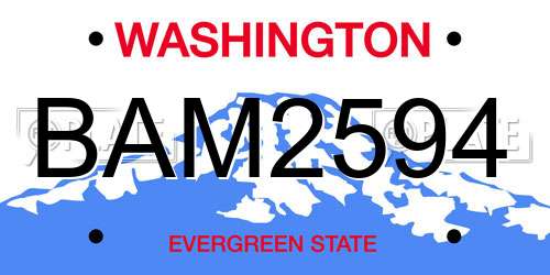 BAM2594 Washington License Plate