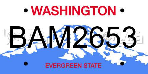 BAM2653 Washington License Plate