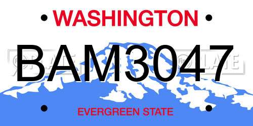 BAM3047 Washington License Plate