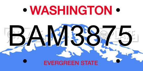 BAM3875 Washington License Plate
