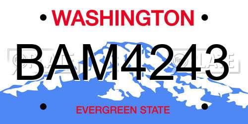 BAM4243 Washington License Plate