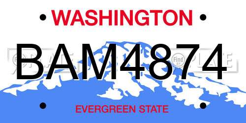 BAM4874 Washington License Plate