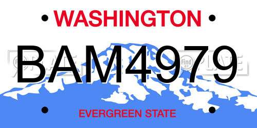 BAM4979 Washington License Plate