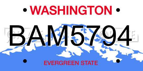 BAM5794 Washington License Plate