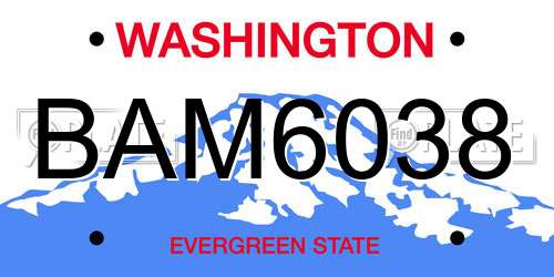 BAM6038 Washington License Plate