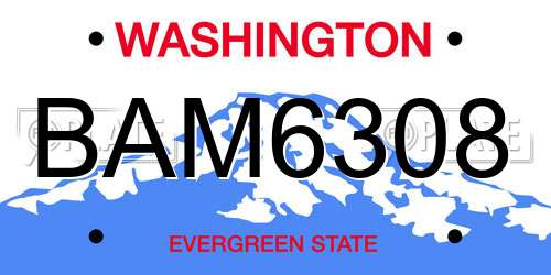 BAM6308 Washington License Plate