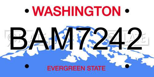BAM7242 Washington License Plate