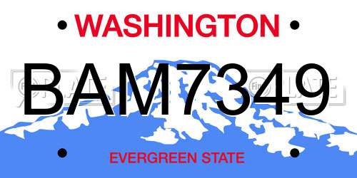 BAM7349 Washington License Plate