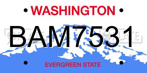 BAM7531 Washington License Plate