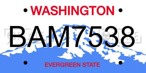 BAM7538 Washington License Plate