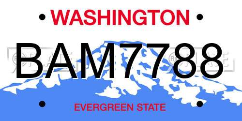 BAM7788 Washington License Plate