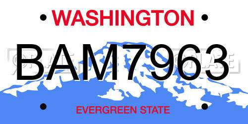 BAM7963 Washington License Plate