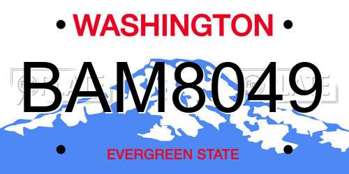 BAM8049 Washington License Plate